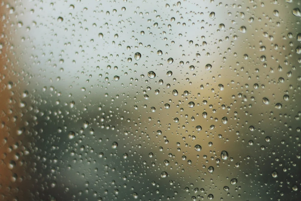 Why Does Transparency Matter?